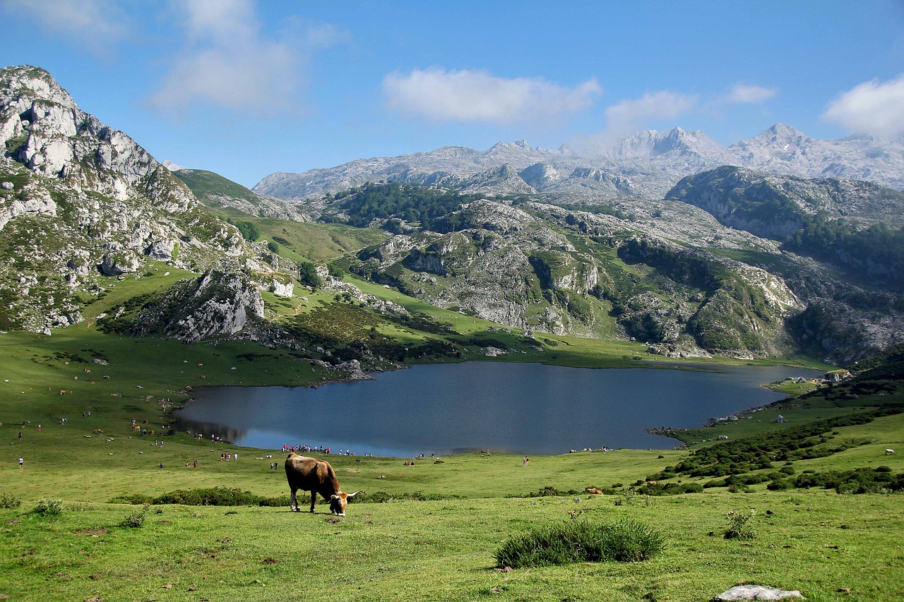 montagne-été