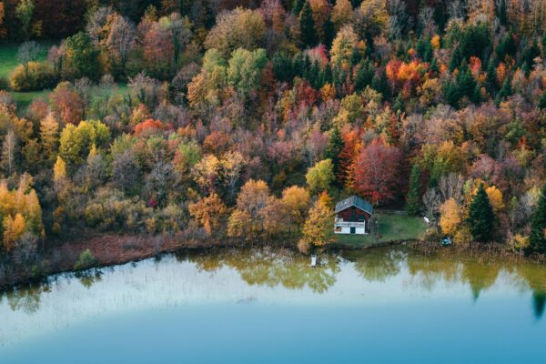 Où observer la faune dans le Jura ?