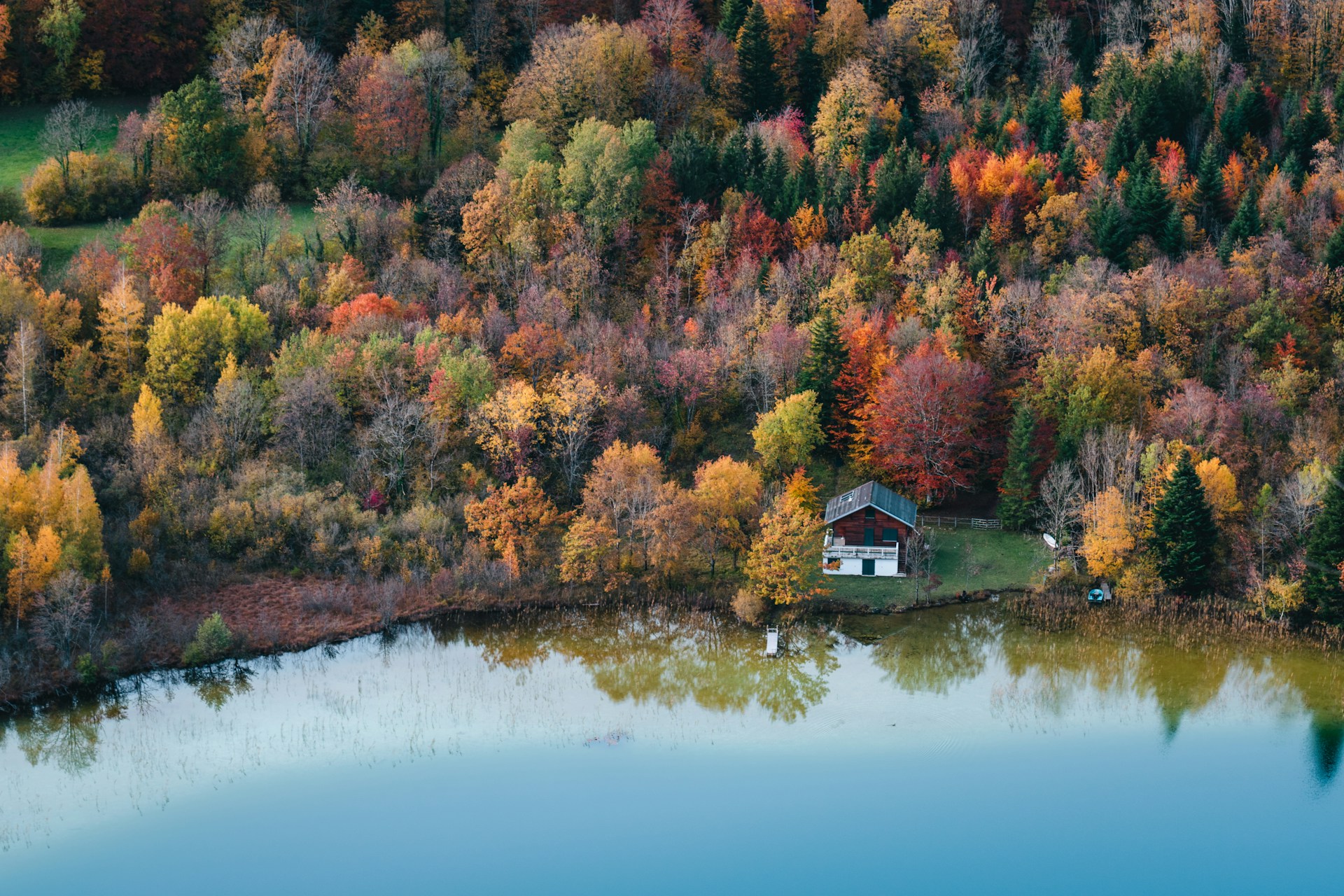 faune jura